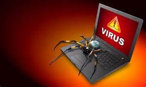 Computer virus spider