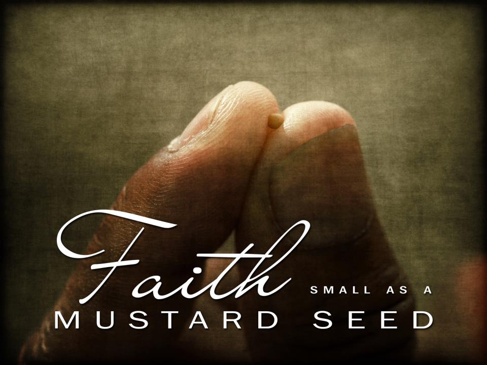 faith-like-a-mustard-seed
